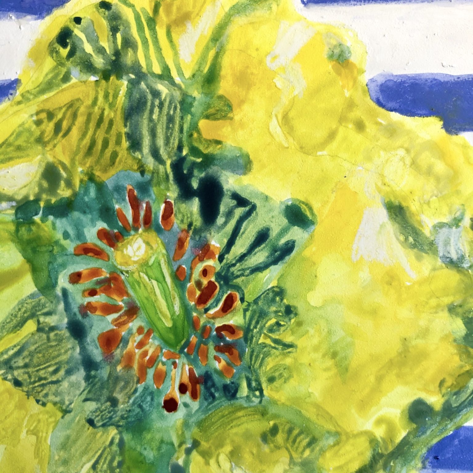 Mexican Tulip Poppy detail