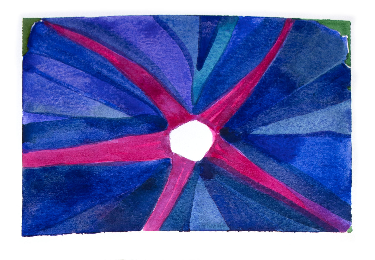 morning glory 4