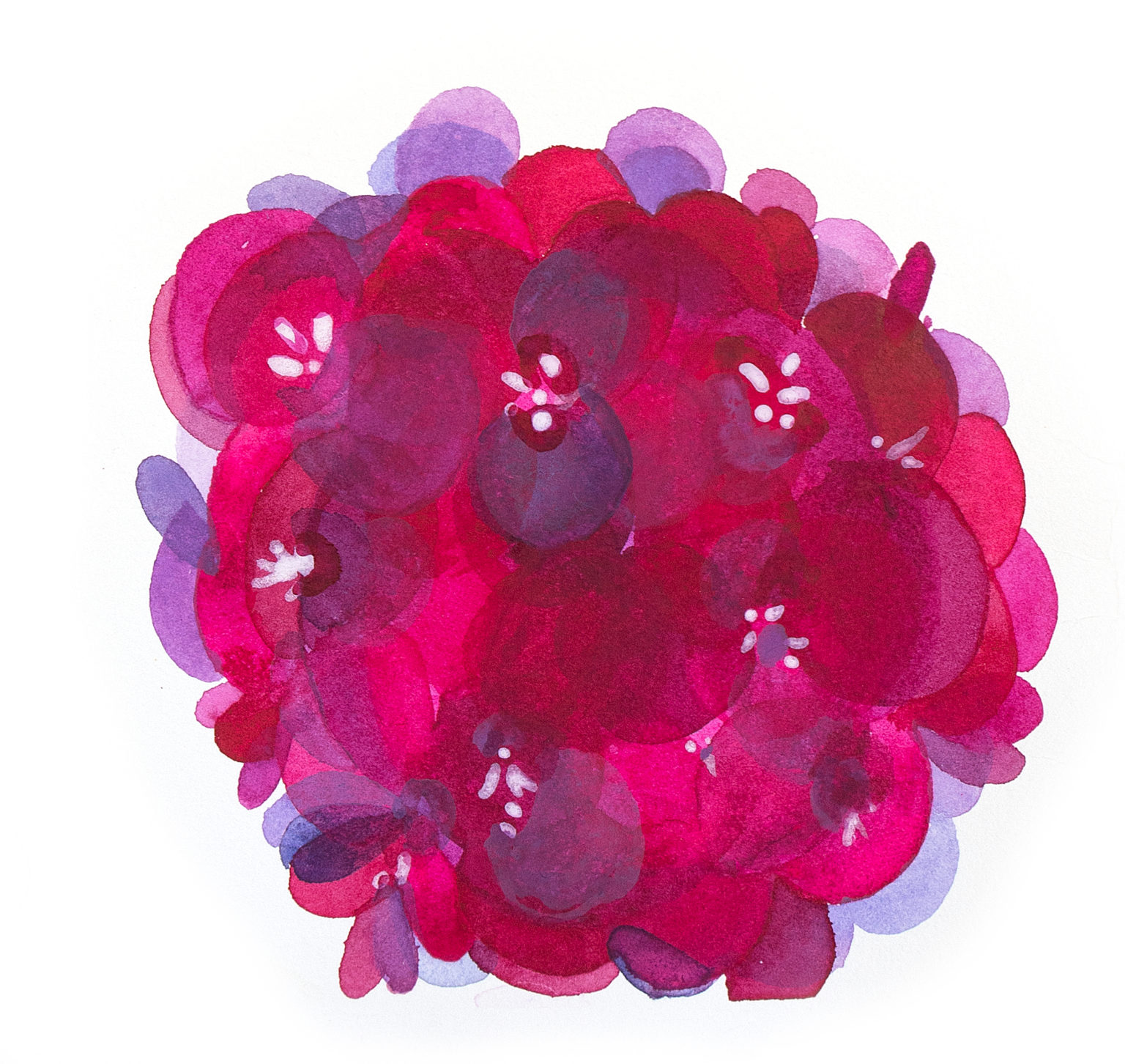 flower ball/pinks