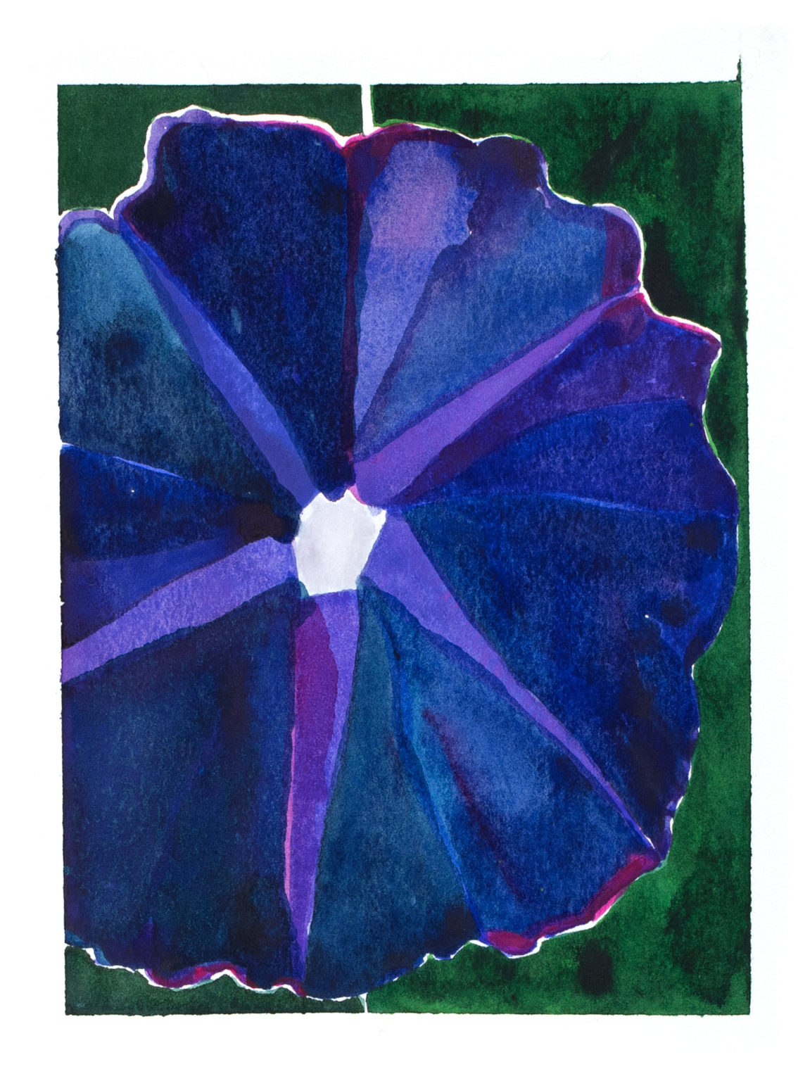Morning Glory 2