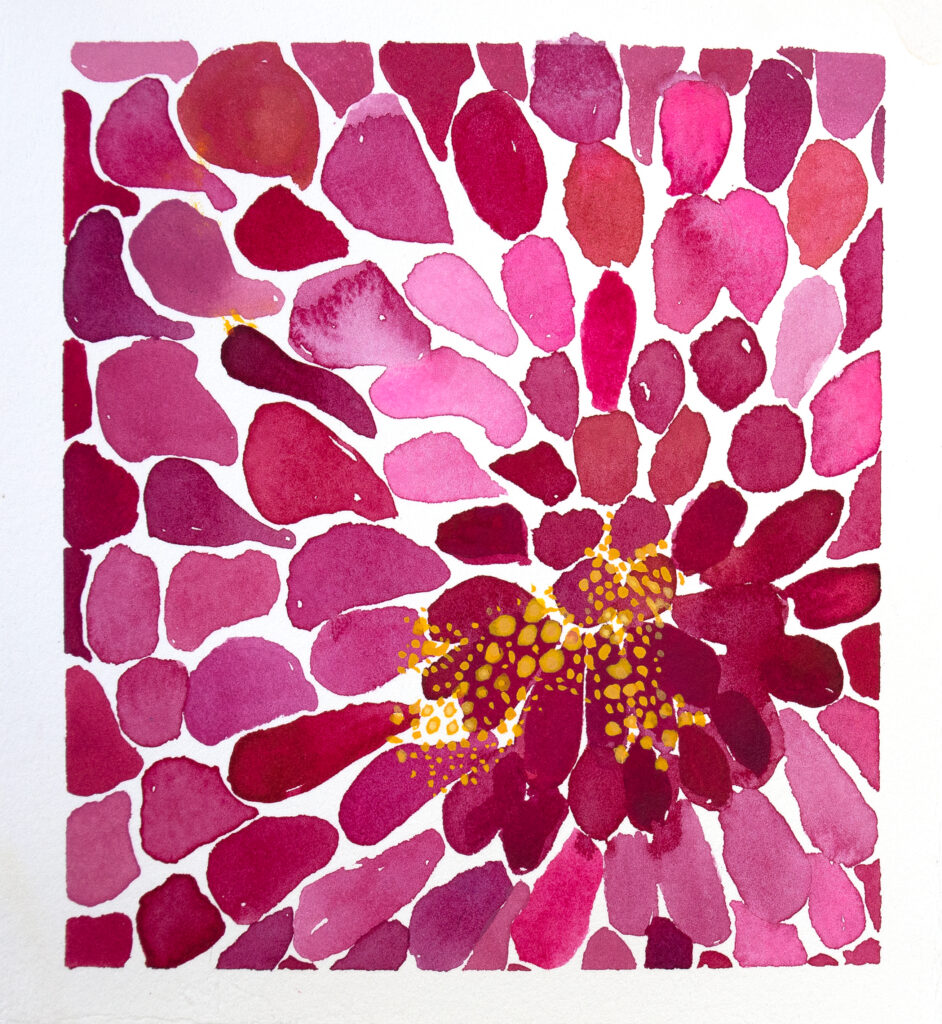 Inside Zinnia
