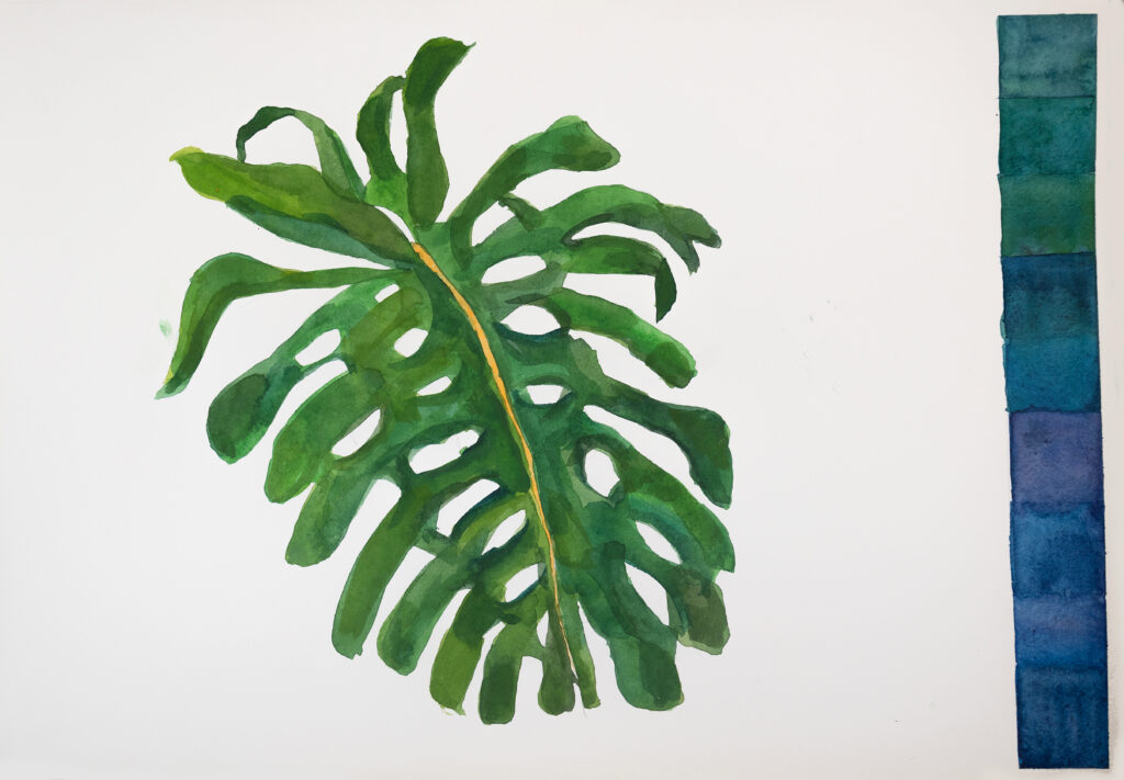 Monstera Leaf, Mexico City