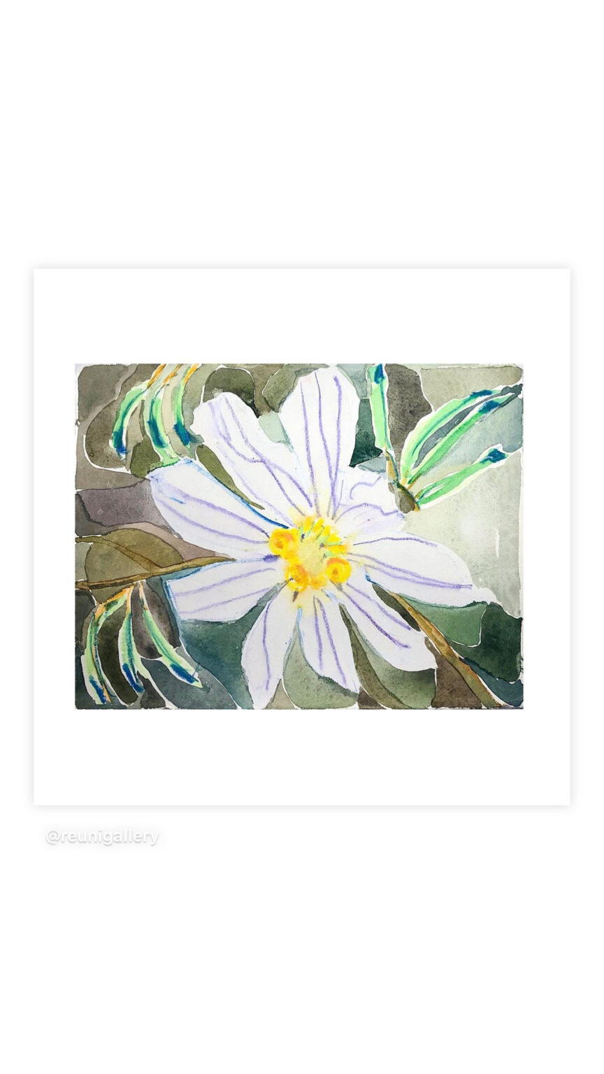 GDL wildflower