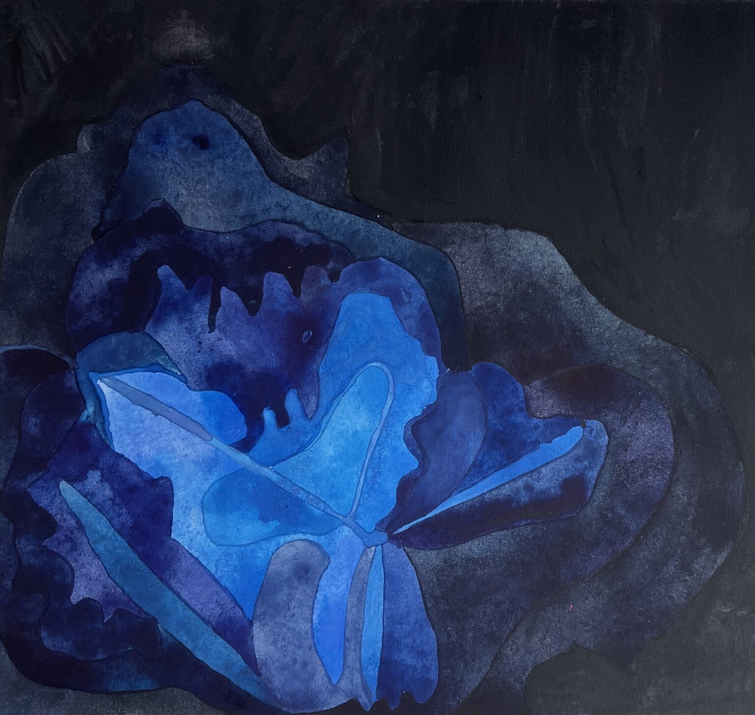 subtle energy like a cathedral (series continued) can a plant express bodhicitta (?)