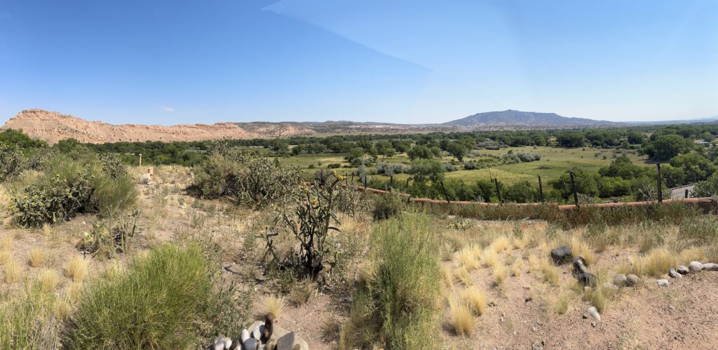 New Mexico vista