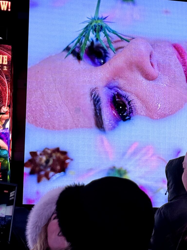 Photo(s) by Edwina Hay courtesy of Times Square Arts