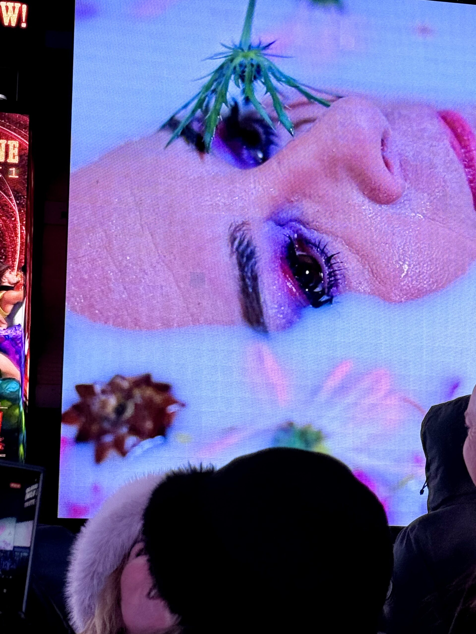 Photo(s) by Edwina Hay courtesy of Times Square Arts