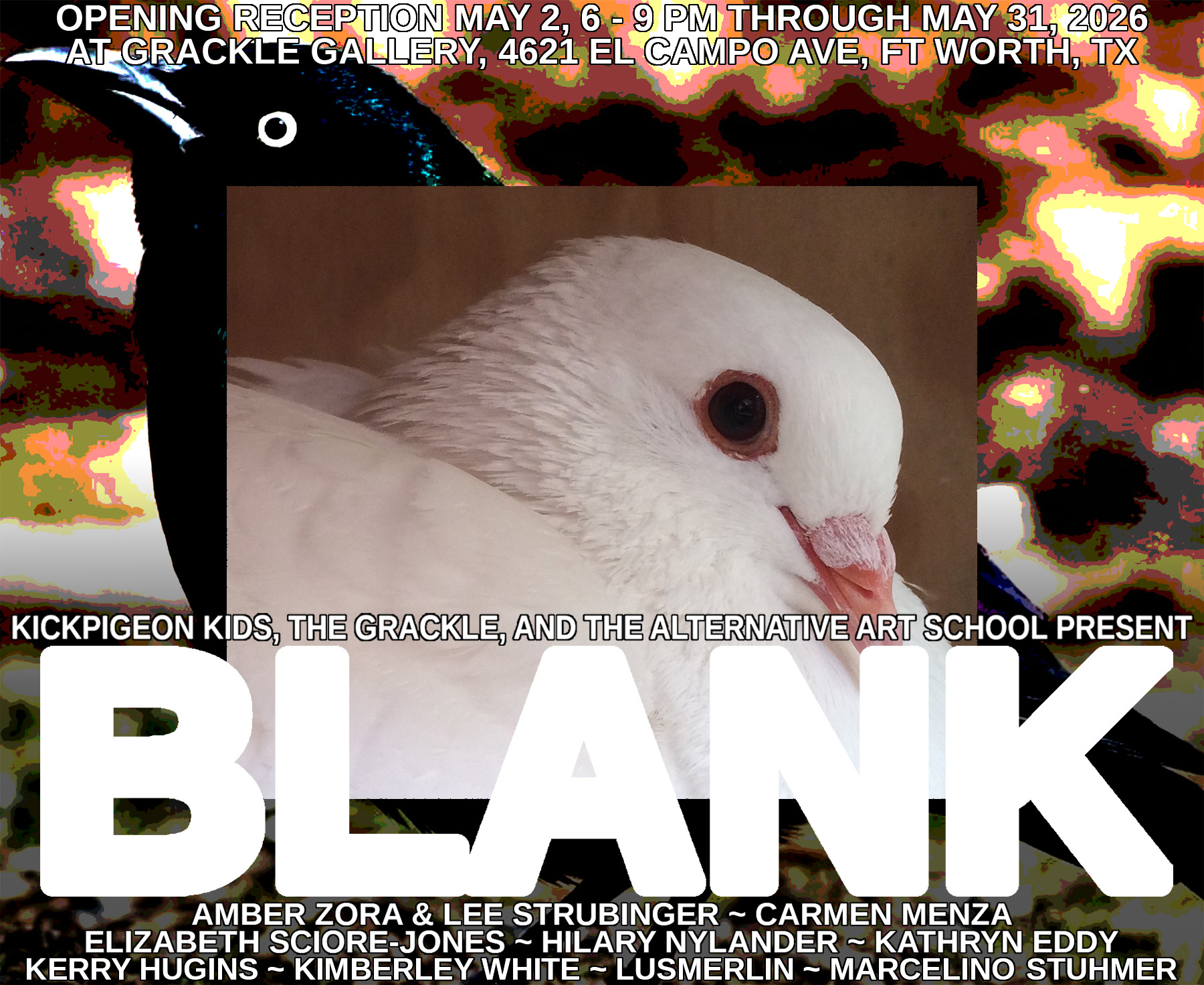 single pigeon complete