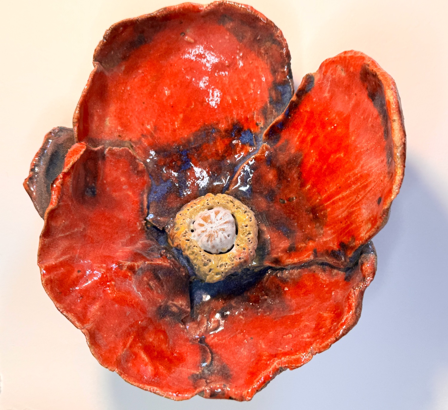 Red Poppy