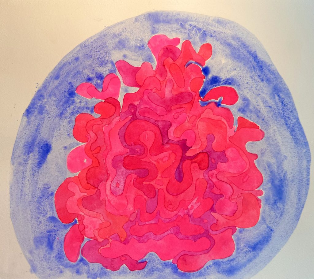 celosia flower (1)